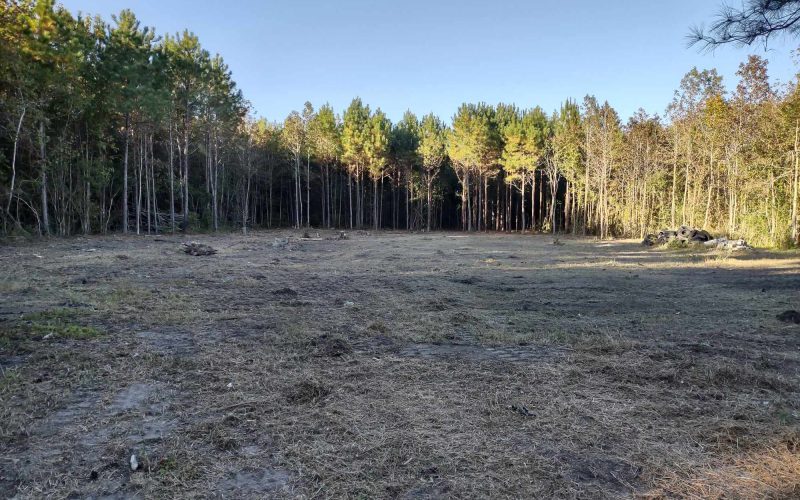 Land Clearing Leland NC